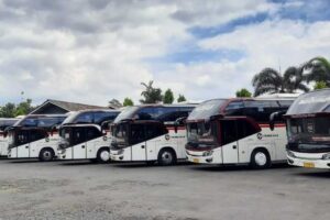 Bus Primajasa