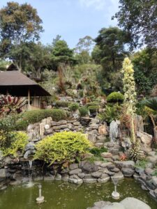 Suasana taman yang adem, sejuk, asri di Qions Villa