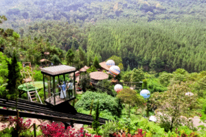 The Lodge Maribaya