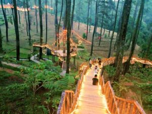 Jembatan gantung di Orchid Forest Cikole