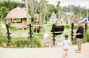 Memperkenalkan hewan-hewan pada anak di Lembang Park & Zoo
