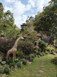 Penginapan dengan taman luas agar anak bisa bermain dengan leluasa