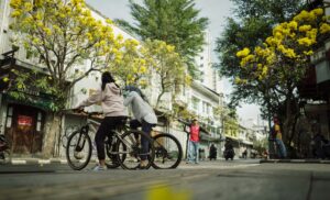 Jalan Braga dengan bunga Tabebuya yang indah