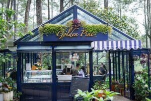 Golden Pine café estetik di Lembang dengan latar pohon pinus