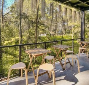 Pemandangan pohon pinus di Limasegi Dipinus Café Lembang