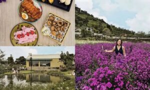 Suasana Gia's Grange Lembang