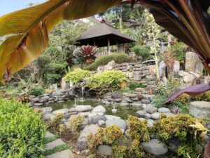 Taman cantik dan kolam indah di kawasan villa