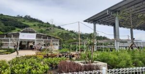 Anak-anak bisa belajar berkebun di Teras Lembang