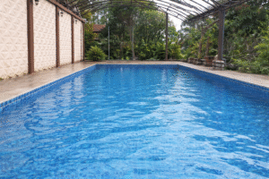 Kolam renang yang luas dan bersih untuk olahraga pagi