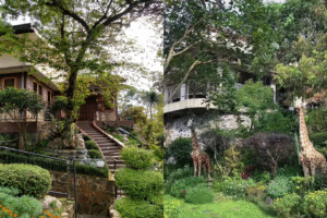 Taman estetik dan instagramable di Qion's Villa Lembang