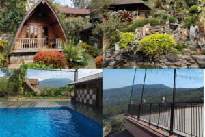 Taman, gazebo, kolam renang, pemandangan indah di villa