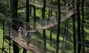 Wood bridge ikonik di Orchid Forest Cikole