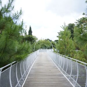 Skywalk untuk jalan pagi atau sore hari dengan suasana asri
