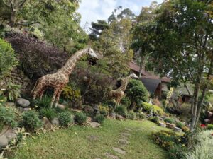 Taman yang cukup luas untuk anak bermain