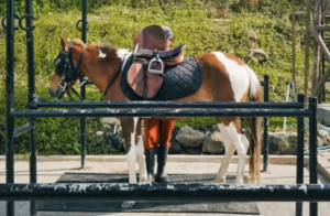 Horse Riding di Nordic Land