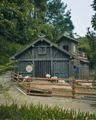 Tempat animal feeding di Nordic Land