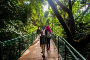 Forest walk di Babakan Siliwangi Bandung