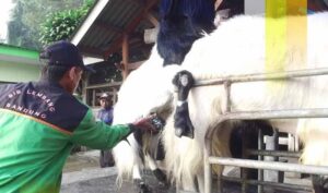 Kegiatan di BIB Lembang
