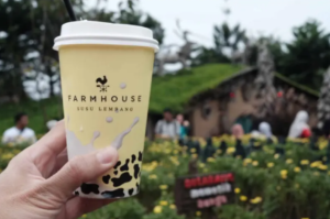Segelas susu sapi segar di Farmhouse Lembang
